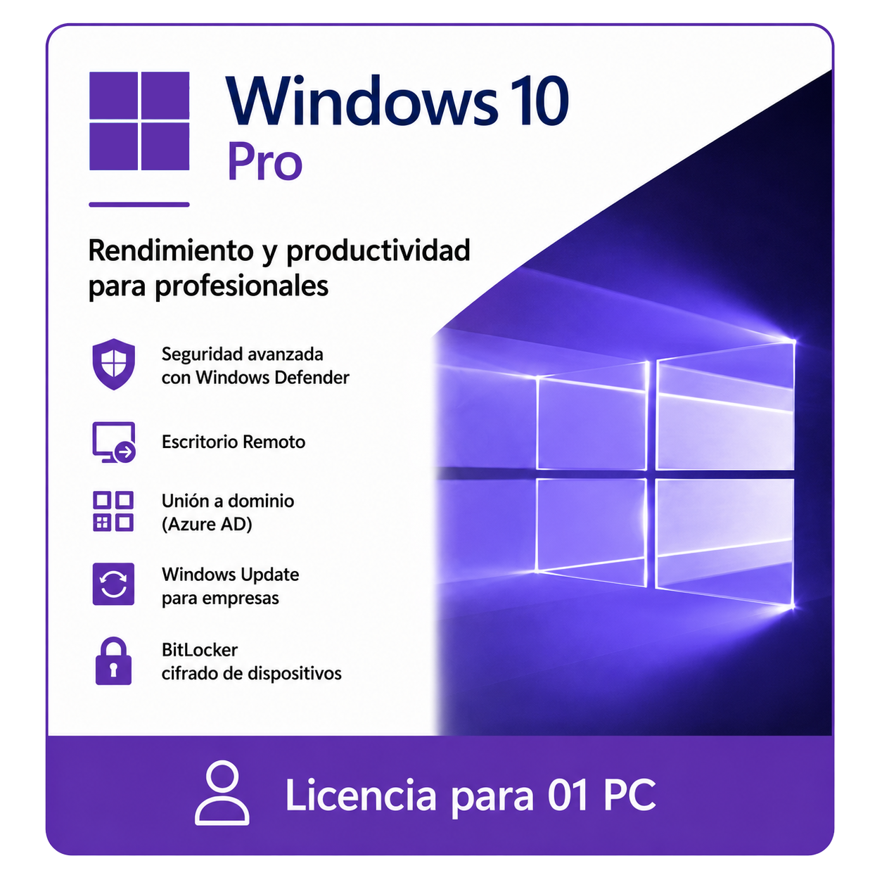 Windows 10 Pro
