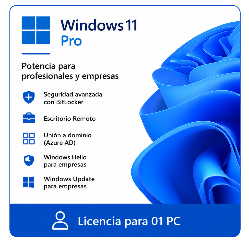 Windows 11 Pro