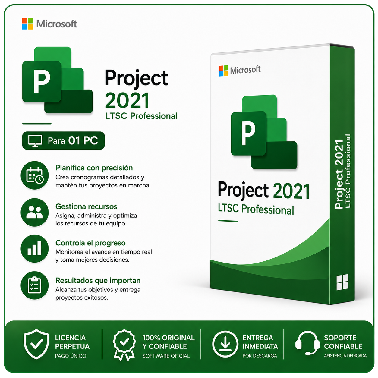 Project 2021 LTSC Professional